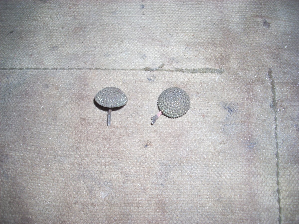 DSCN0508.JPG