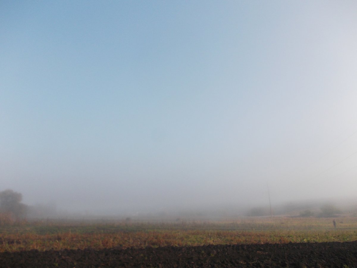 DSCN0517.JPG