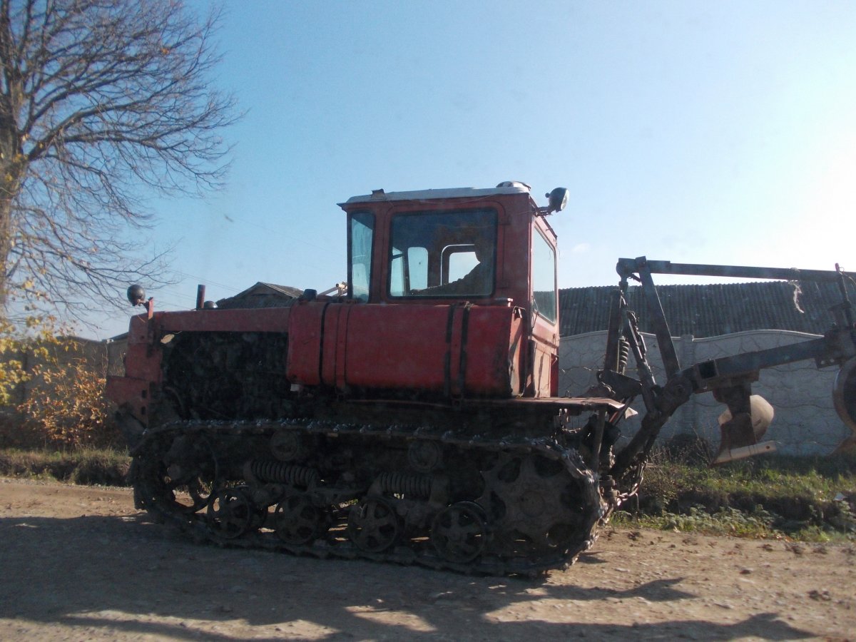 DSCN0528.JPG