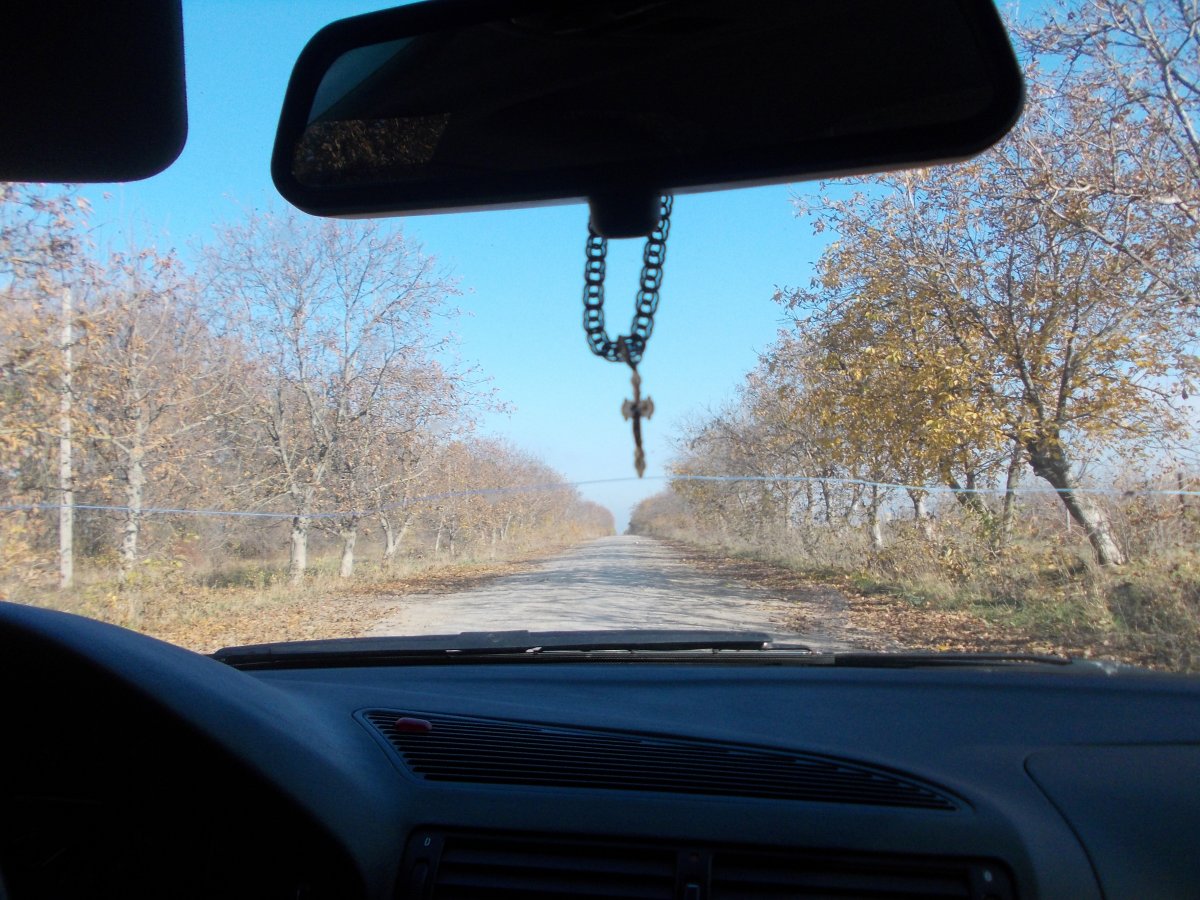 DSCN0529.JPG