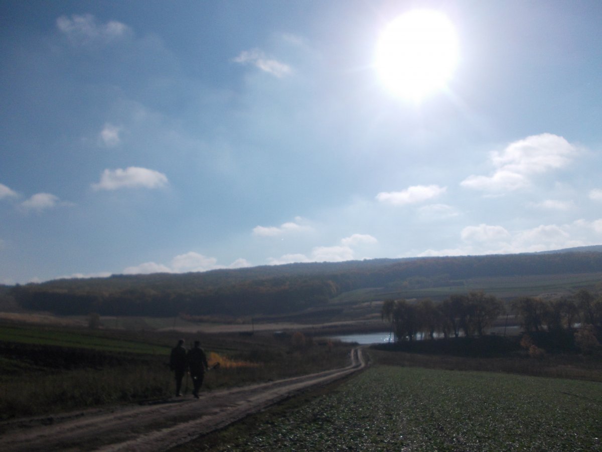 DSCN0534.JPG