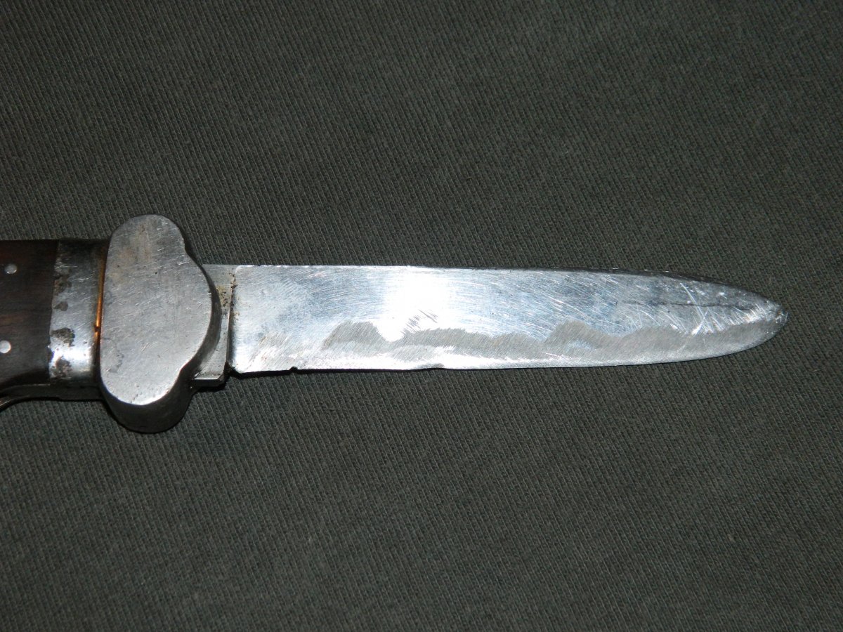DSCN0545.JPG