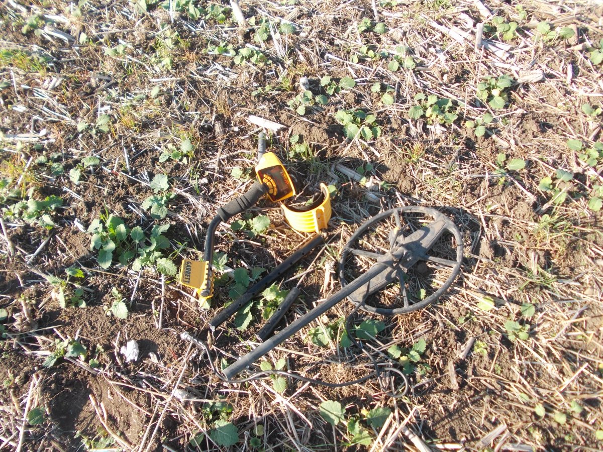 DSCN0546.JPG