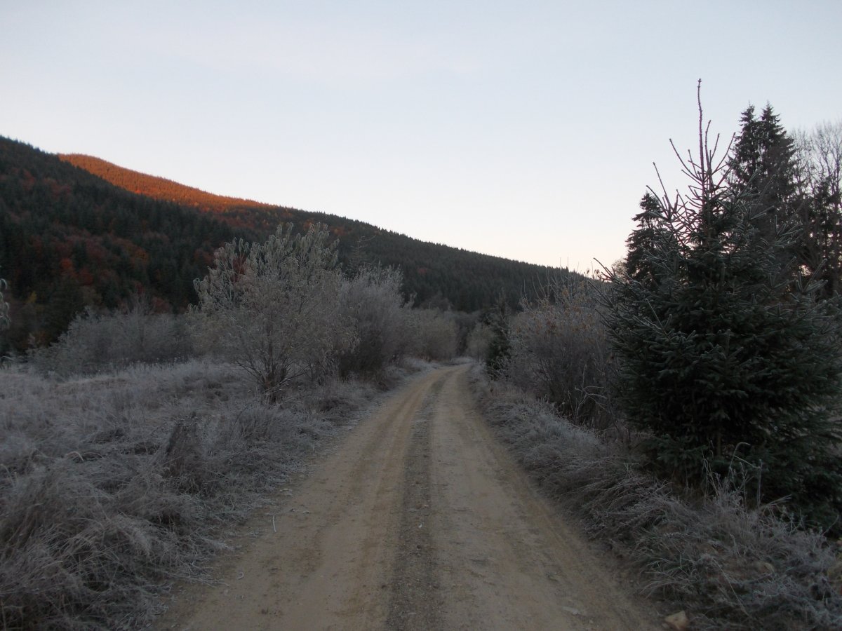 DSCN0550.JPG