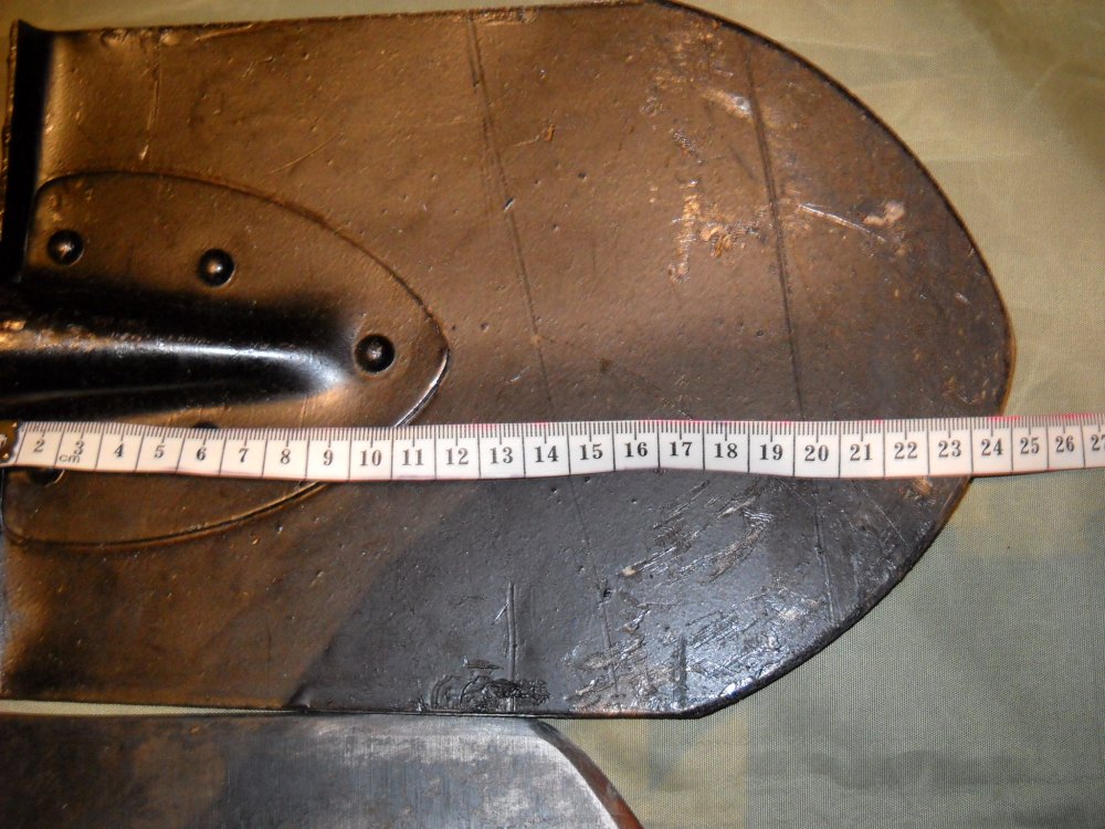 DSCN0600.JPG
