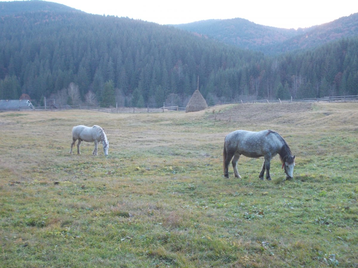 DSCN0625.JPG