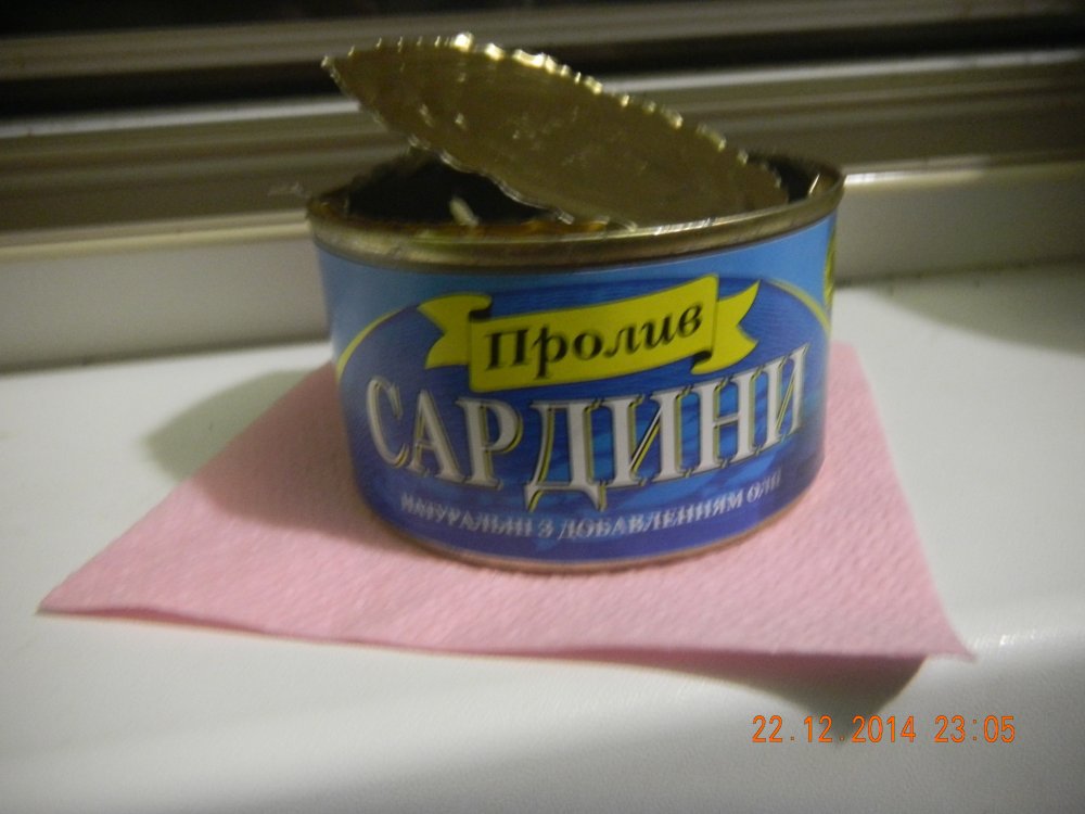 DSCN0640.JPG