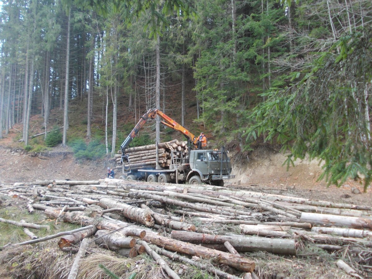 DSCN0659.JPG