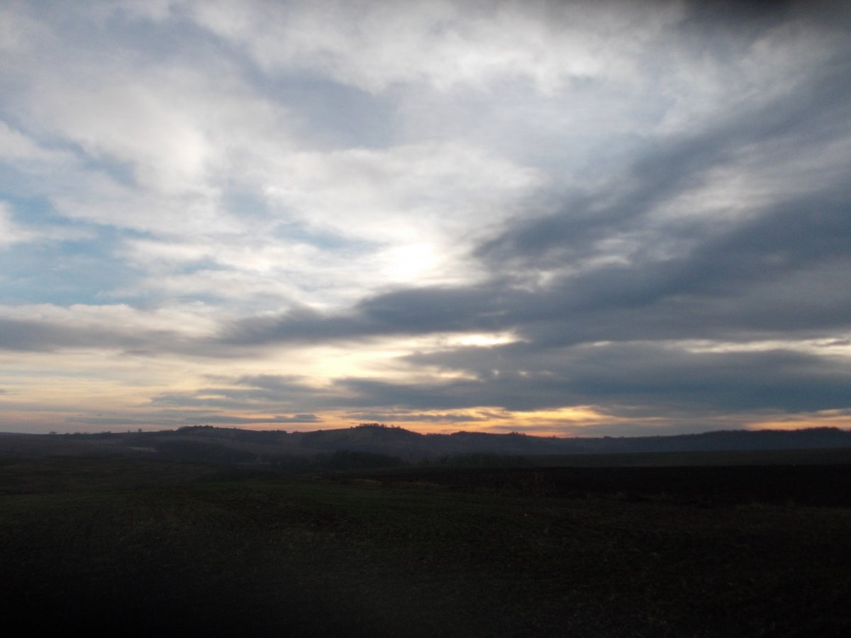 DSCN0663.JPG