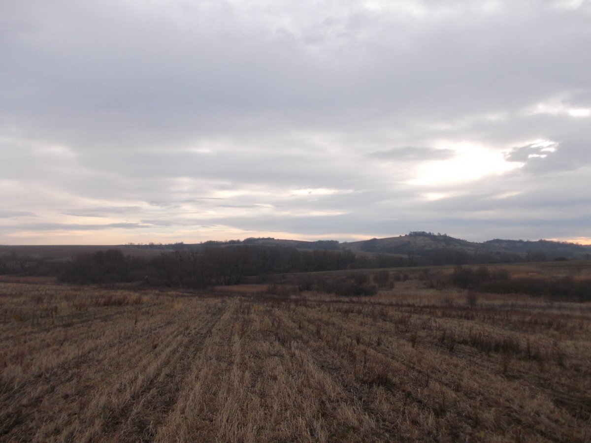 DSCN0668.JPG
