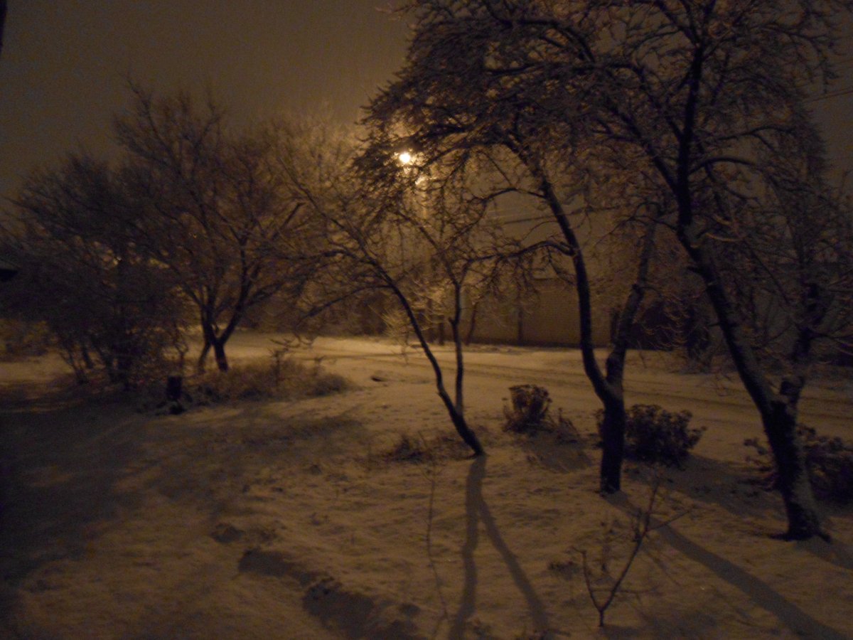 DSCN0677.JPG