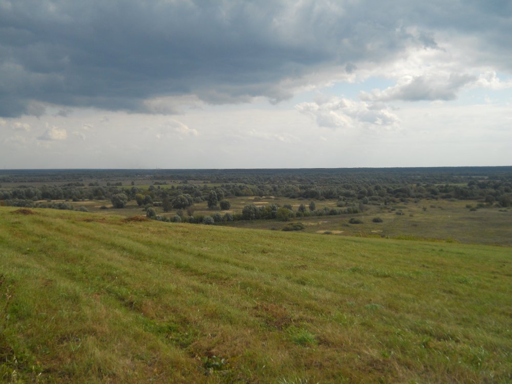 DSCN0687.jpg