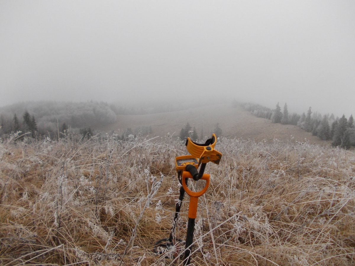 DSCN0725.JPG