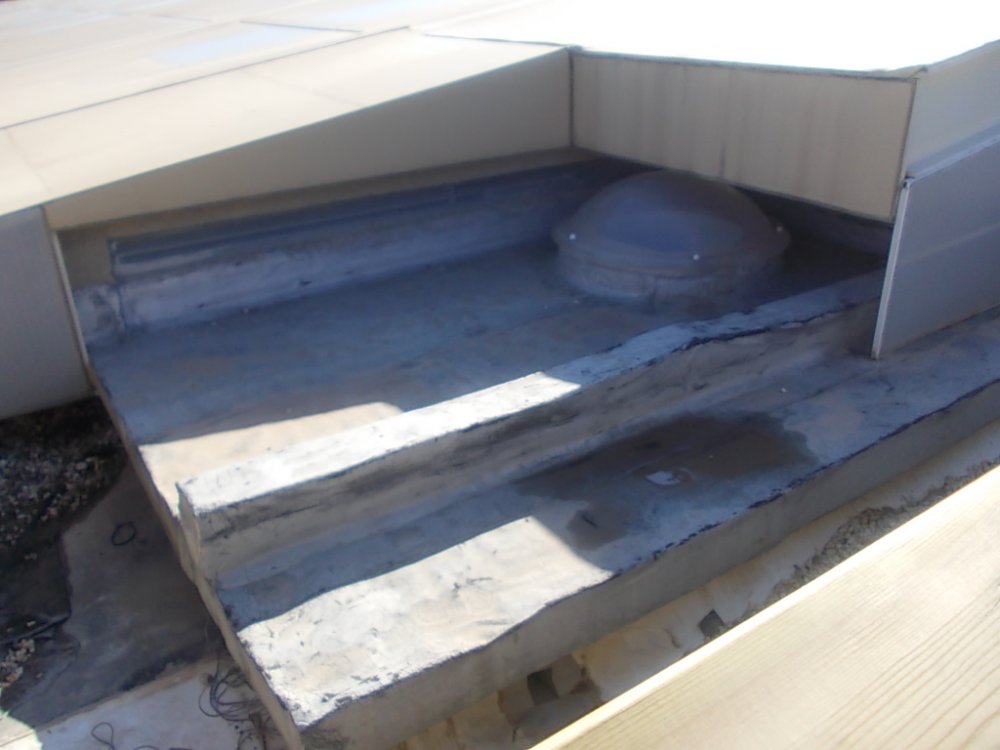 DSCN0746.JPG
