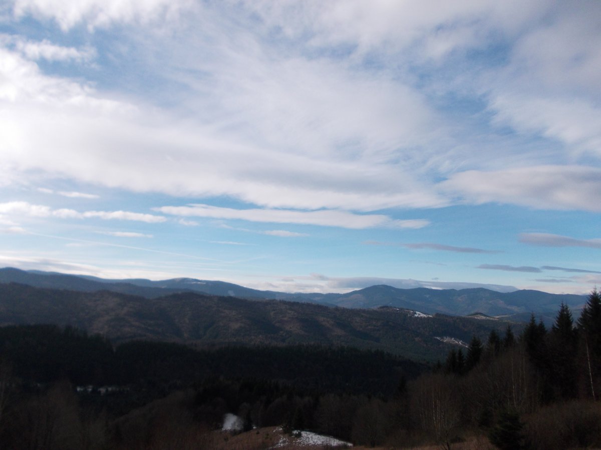 DSCN0772.JPG