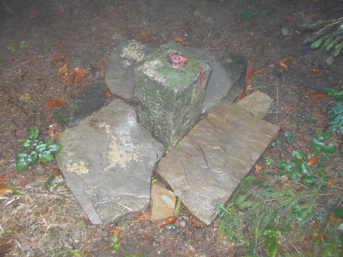 DSCN0782.JPG