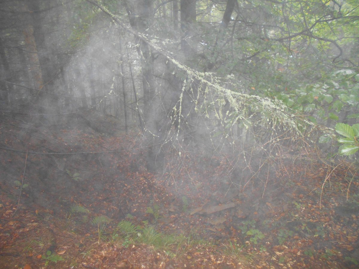 DSCN0783.JPG