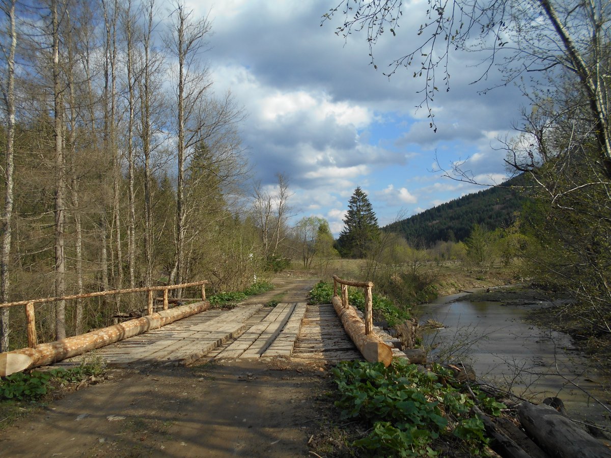 DSCN0811.JPG