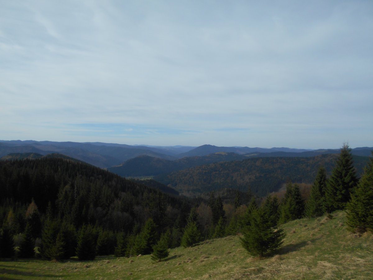 DSCN0817.JPG