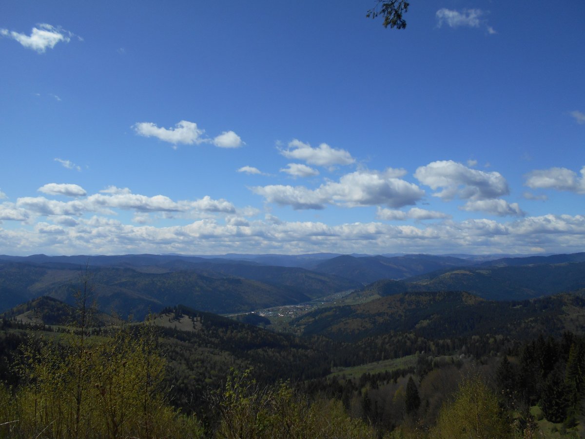 DSCN0838.JPG