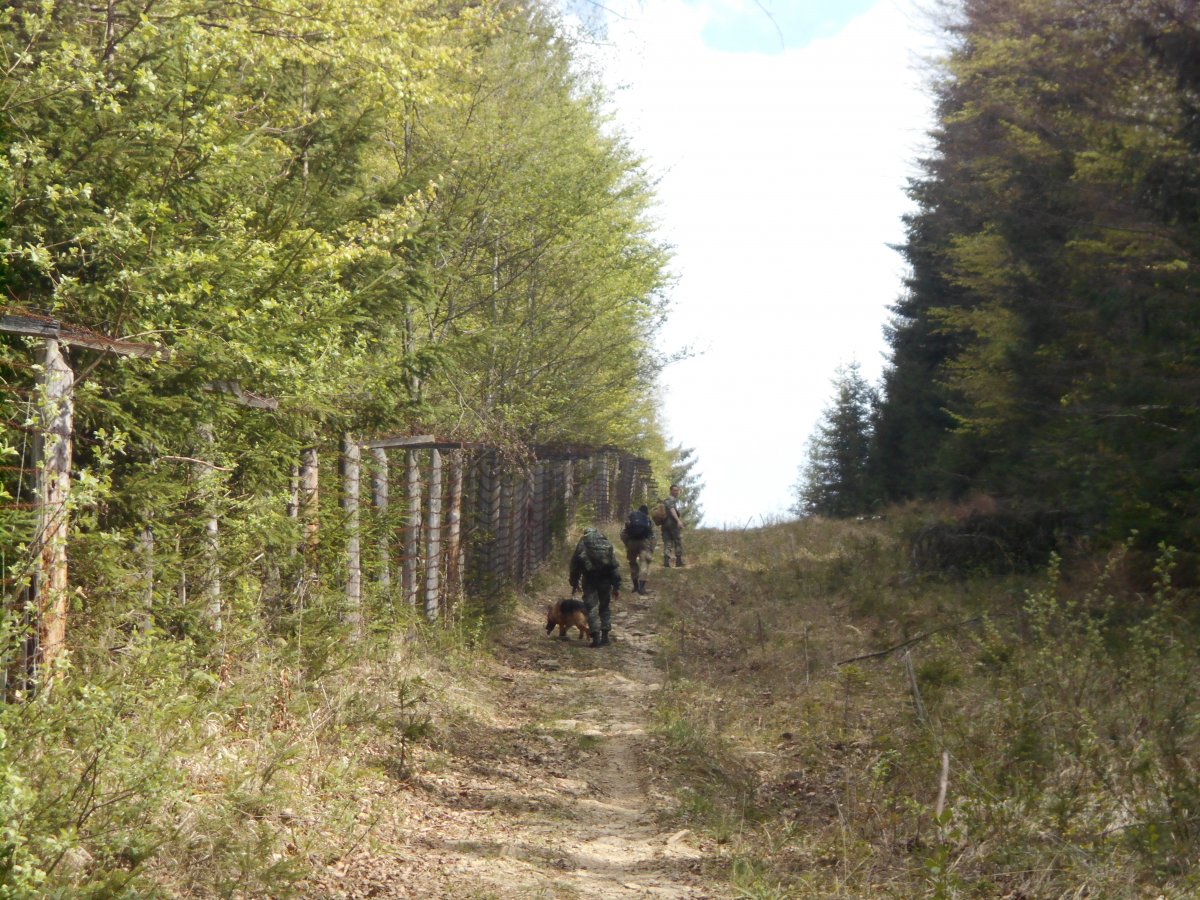 DSCN0851.JPG