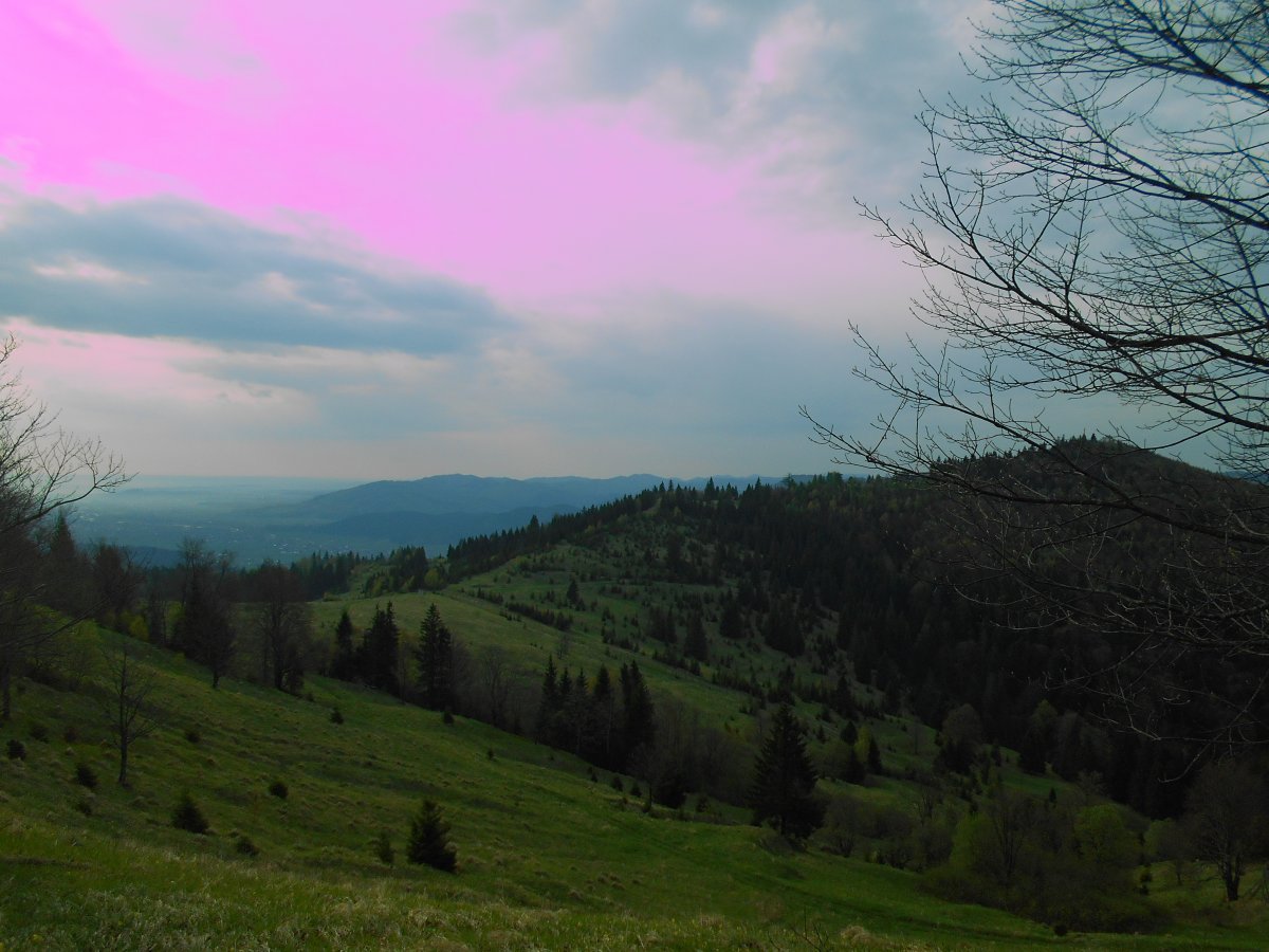 DSCN0863.JPG