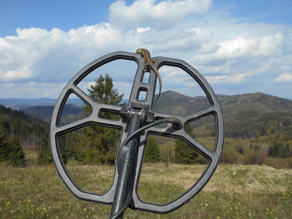 DSCN0874.JPG