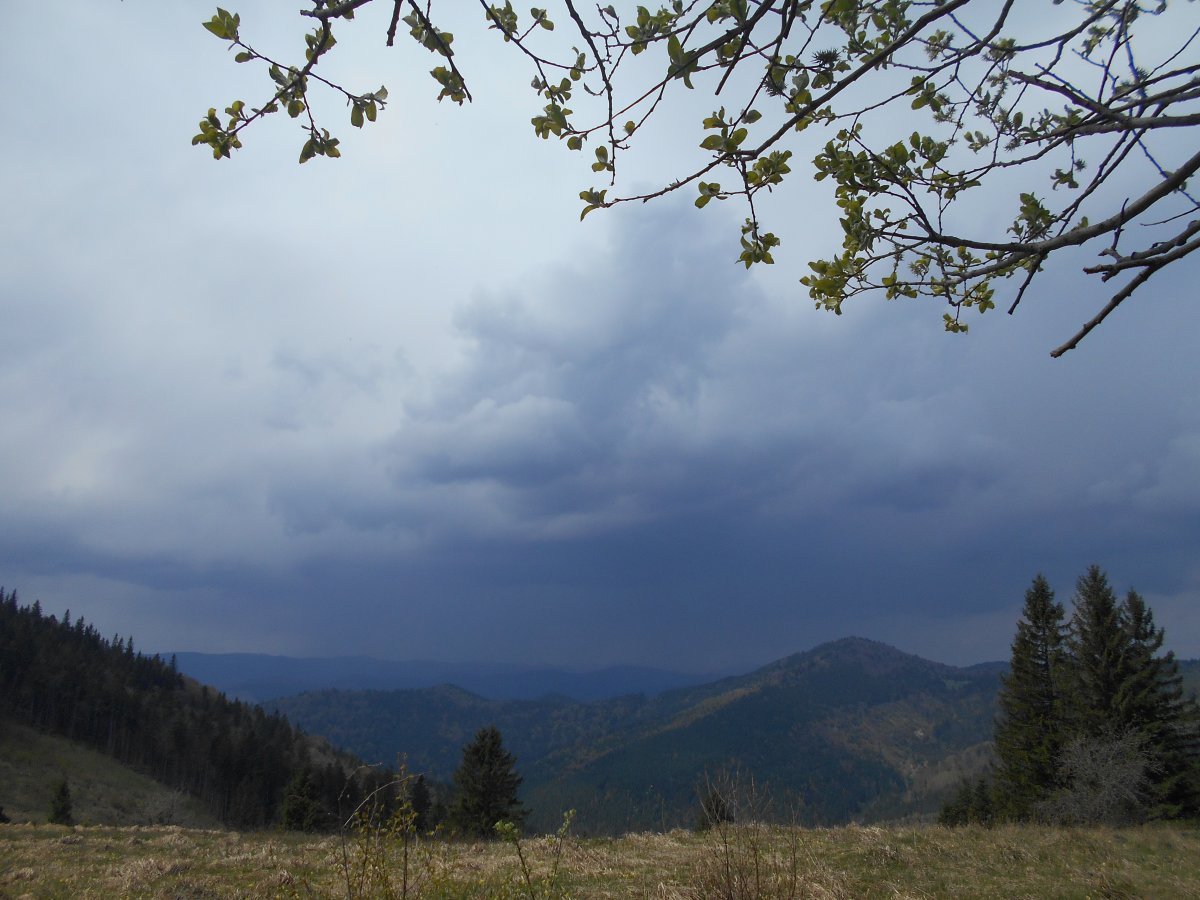 DSCN0875.JPG