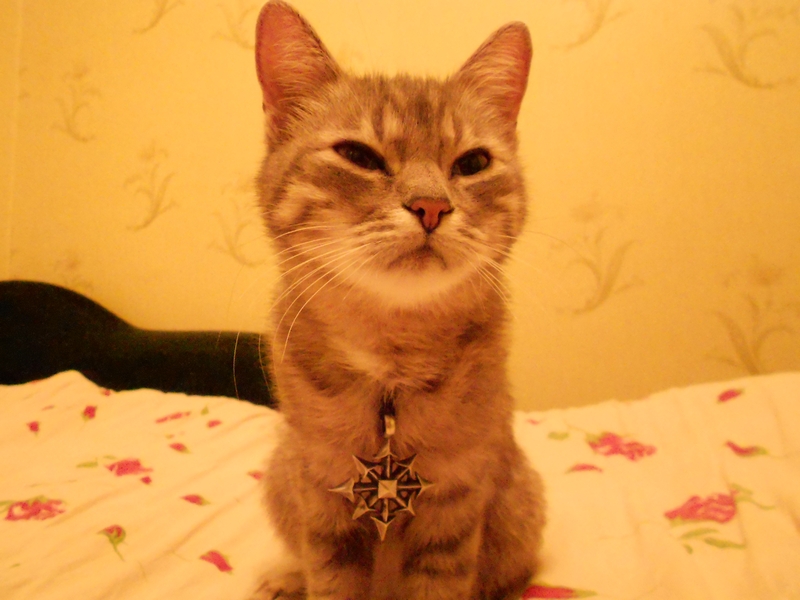 DSCN0882.JPG