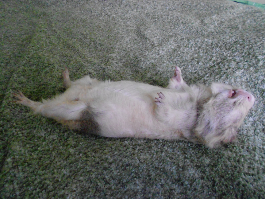 DSCN0939.JPG