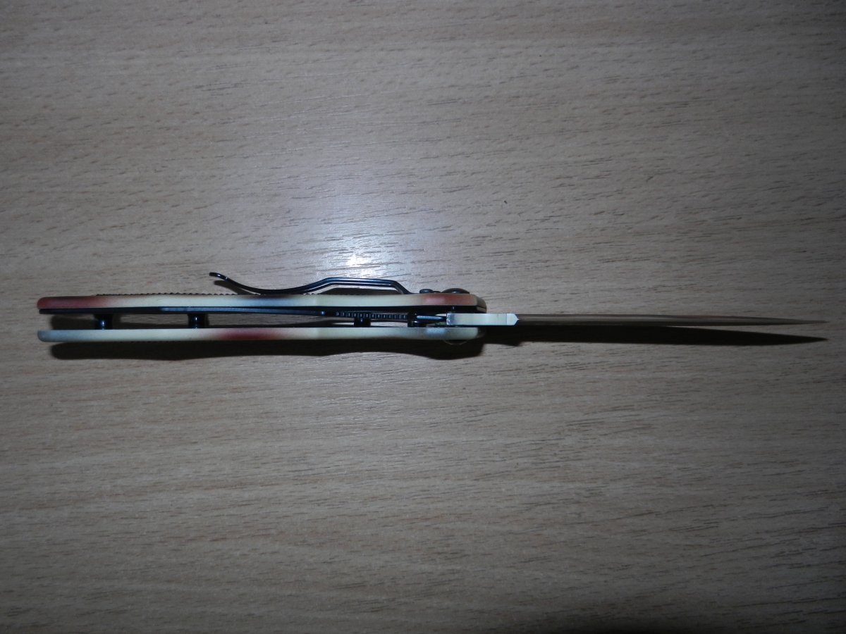 DSCN1021.JPG
