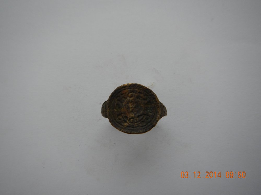 DSCN1133.JPG