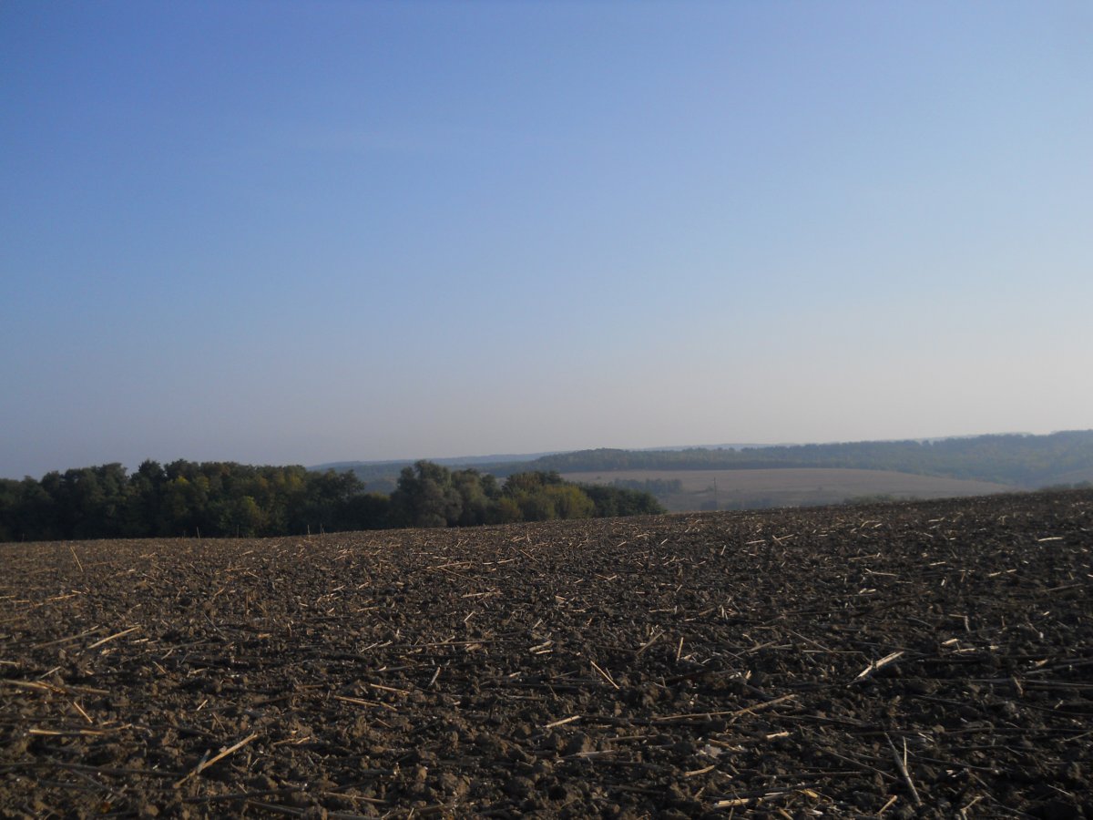 DSCN1324.JPG