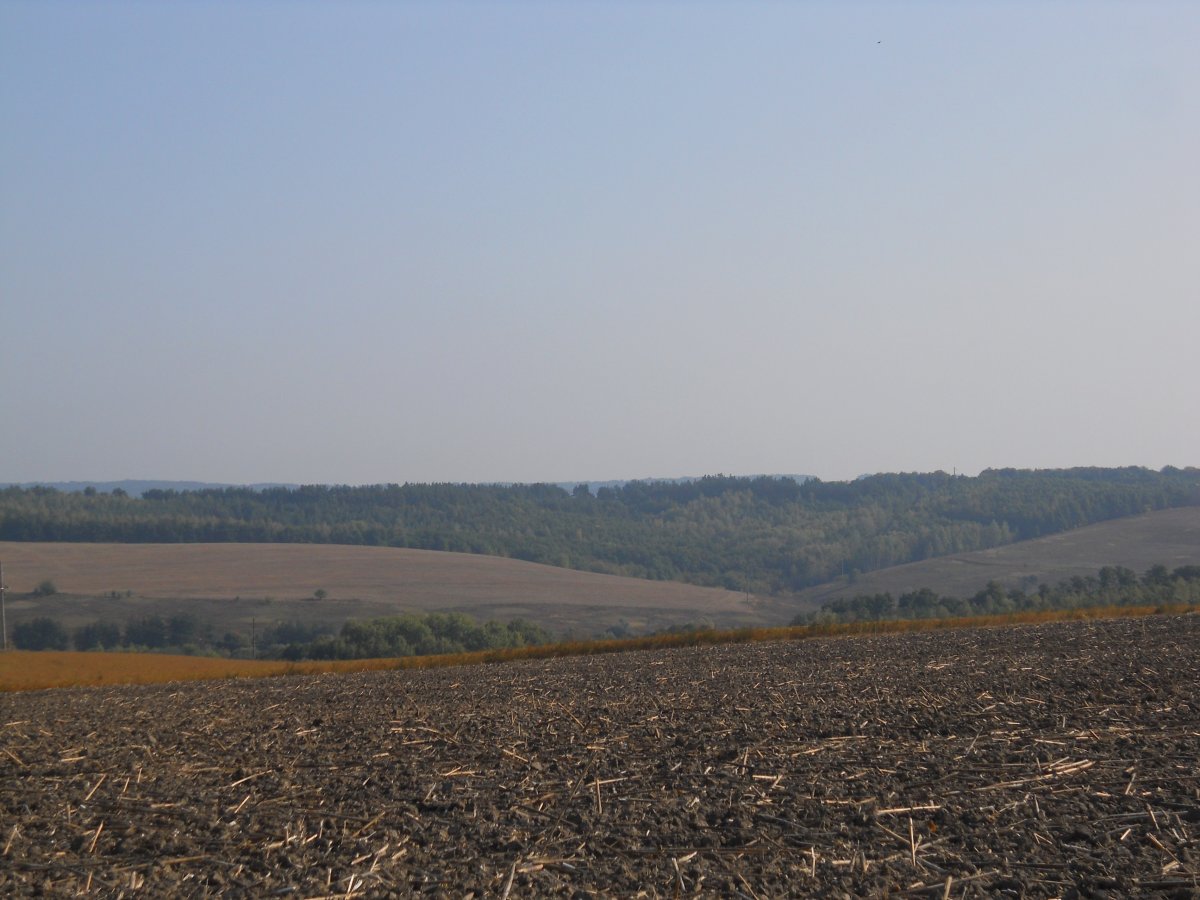 DSCN1334.JPG