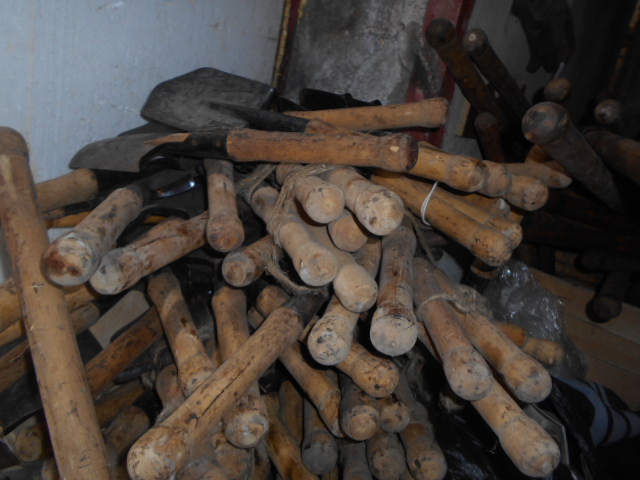 DSCN1379.JPG
