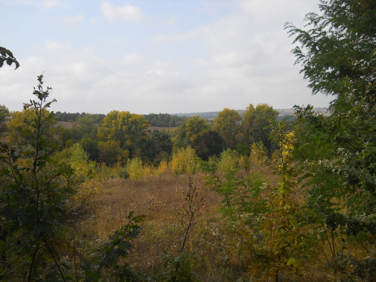 DSCN1381.JPG