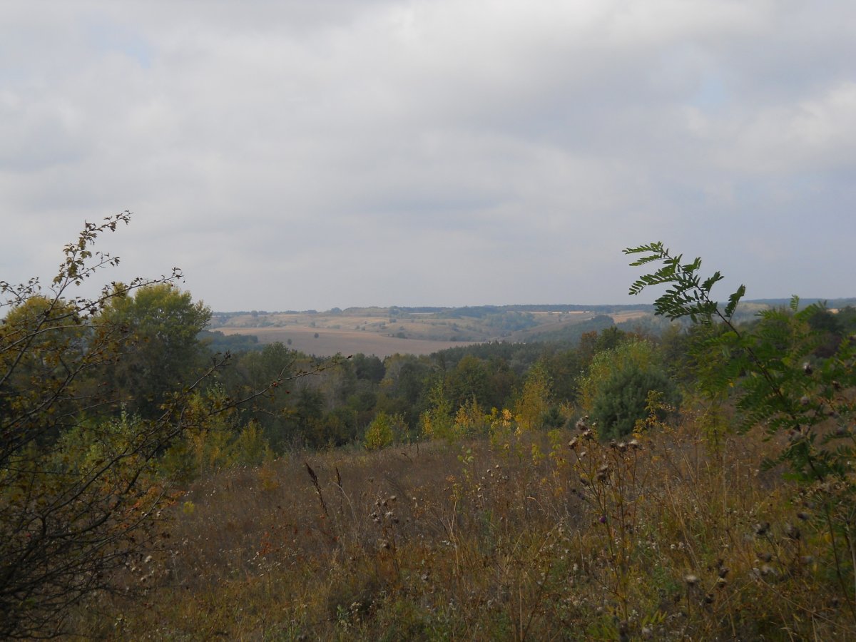 DSCN1382.JPG