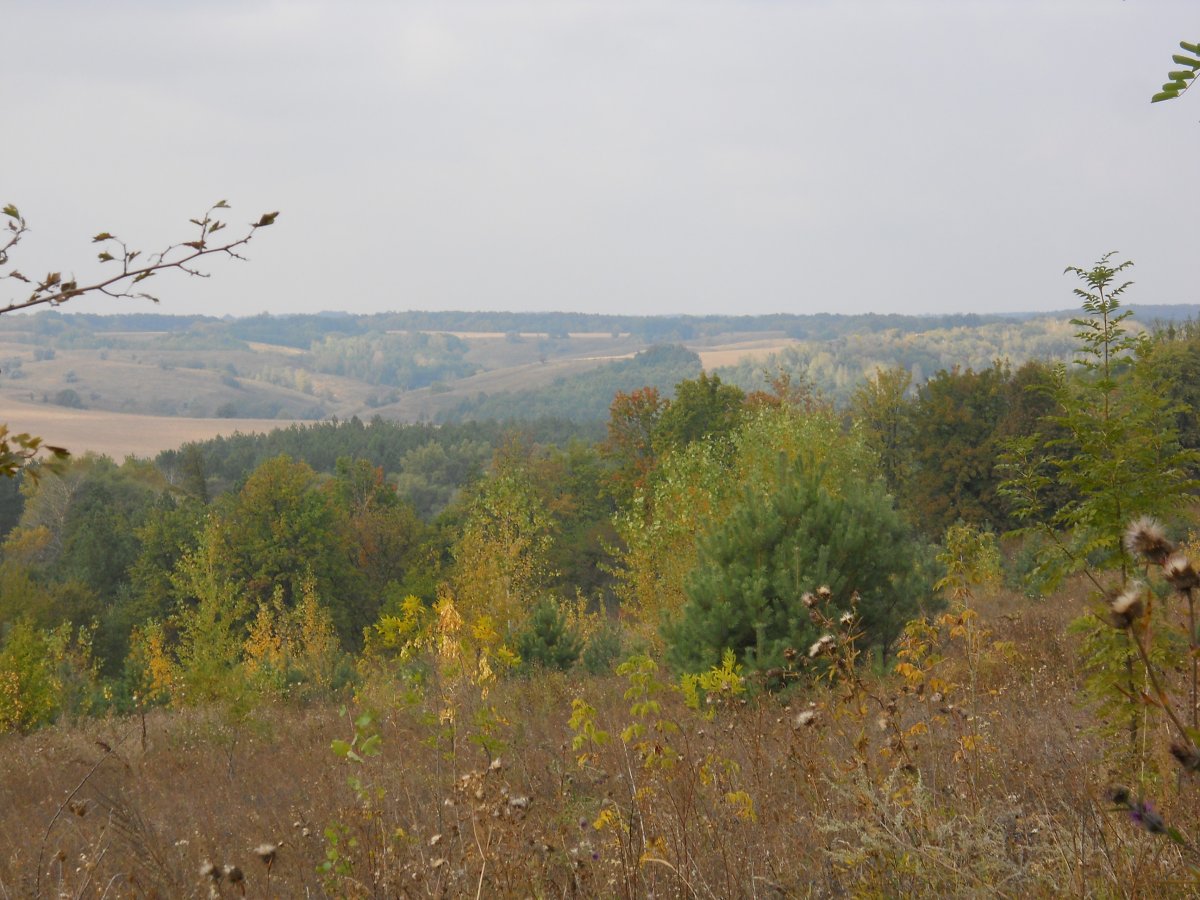 DSCN1384.JPG
