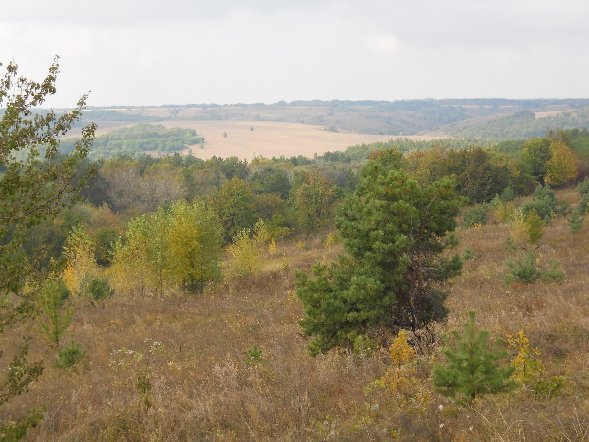 DSCN1390.JPG