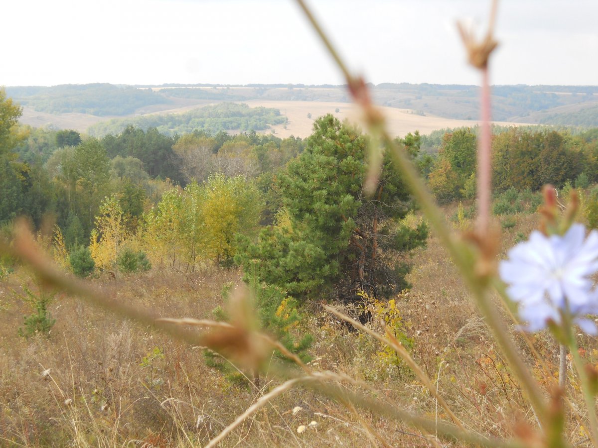 DSCN1391.JPG