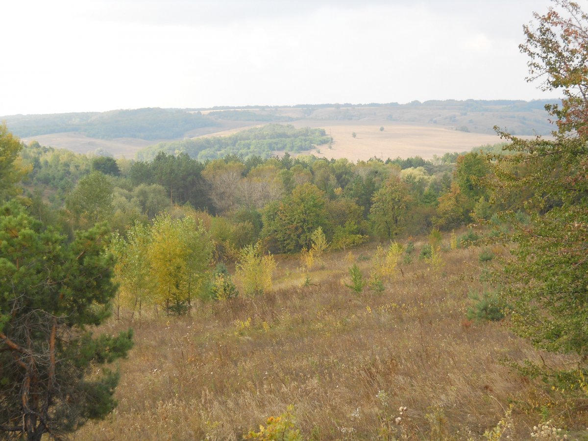 DSCN1394.JPG