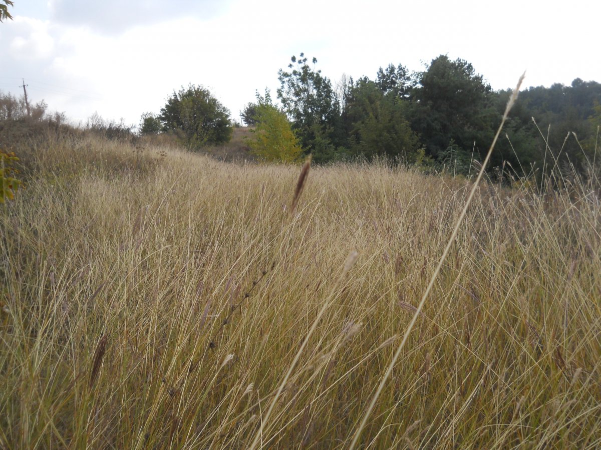 DSCN1396.JPG