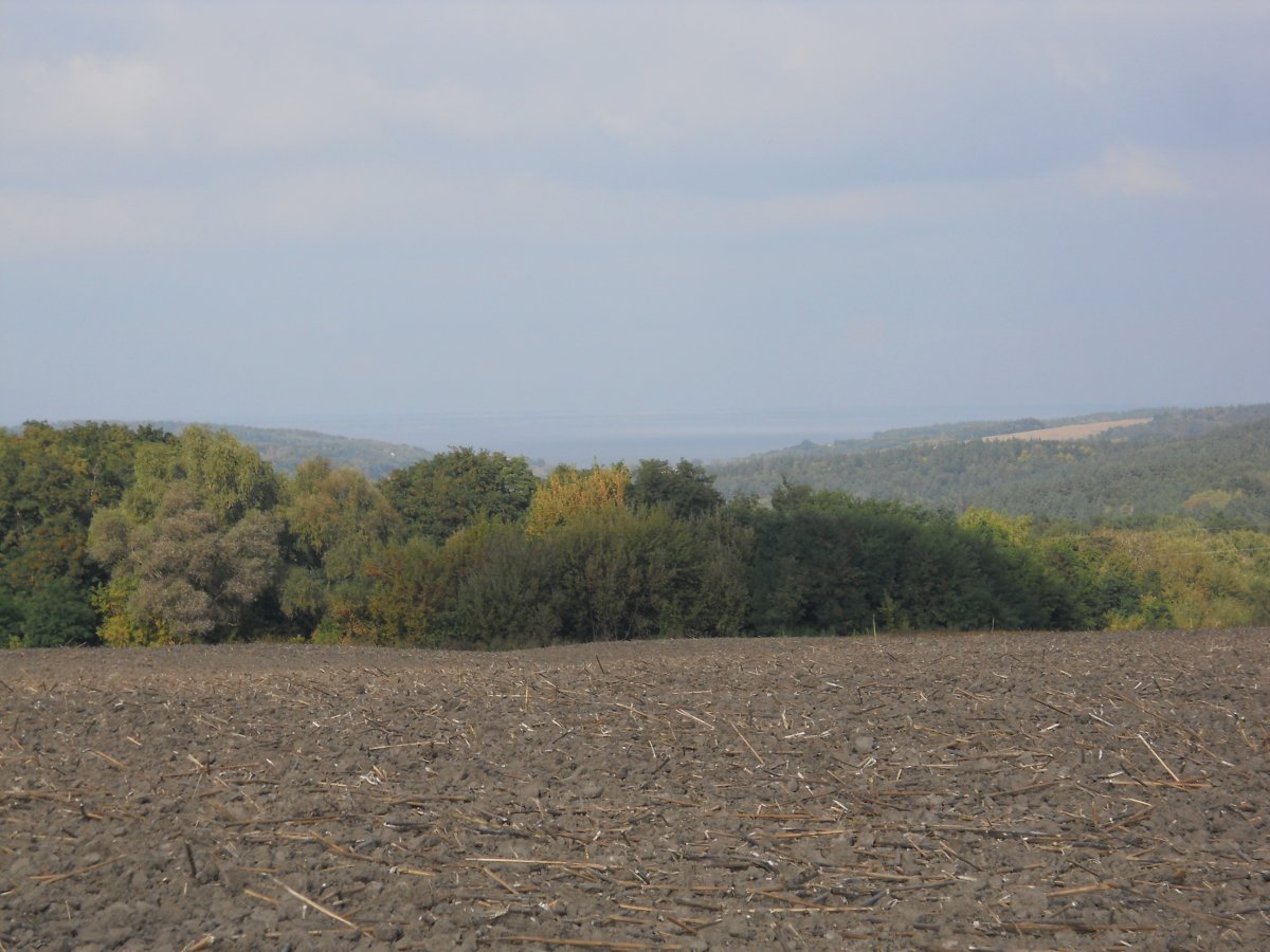 DSCN1404.JPG