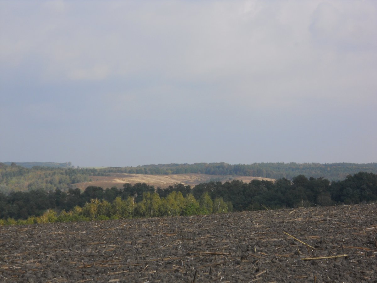 DSCN1407.JPG