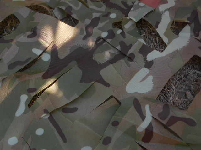 DSCN1511.JPG
