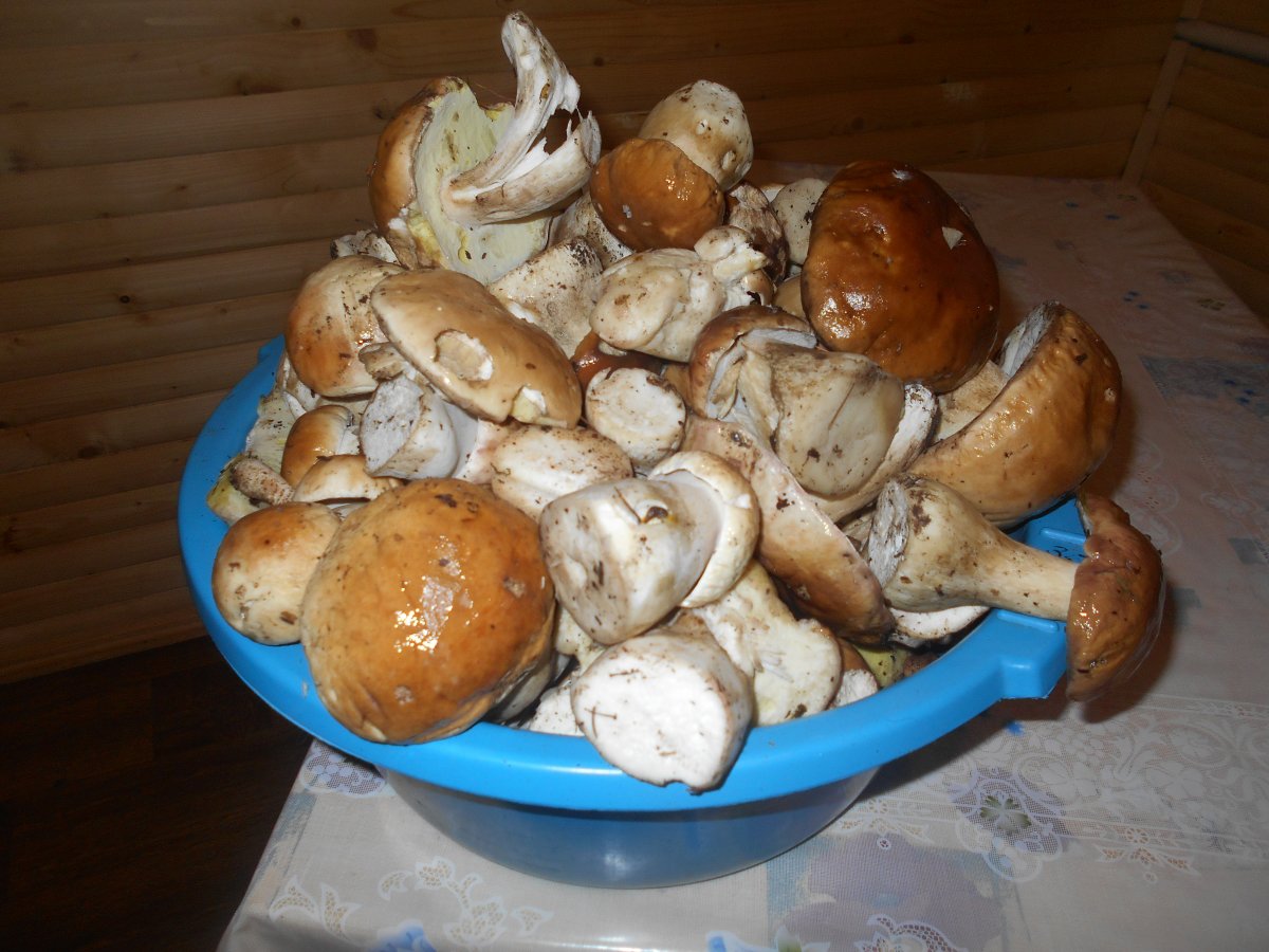 DSCN1856.JPG