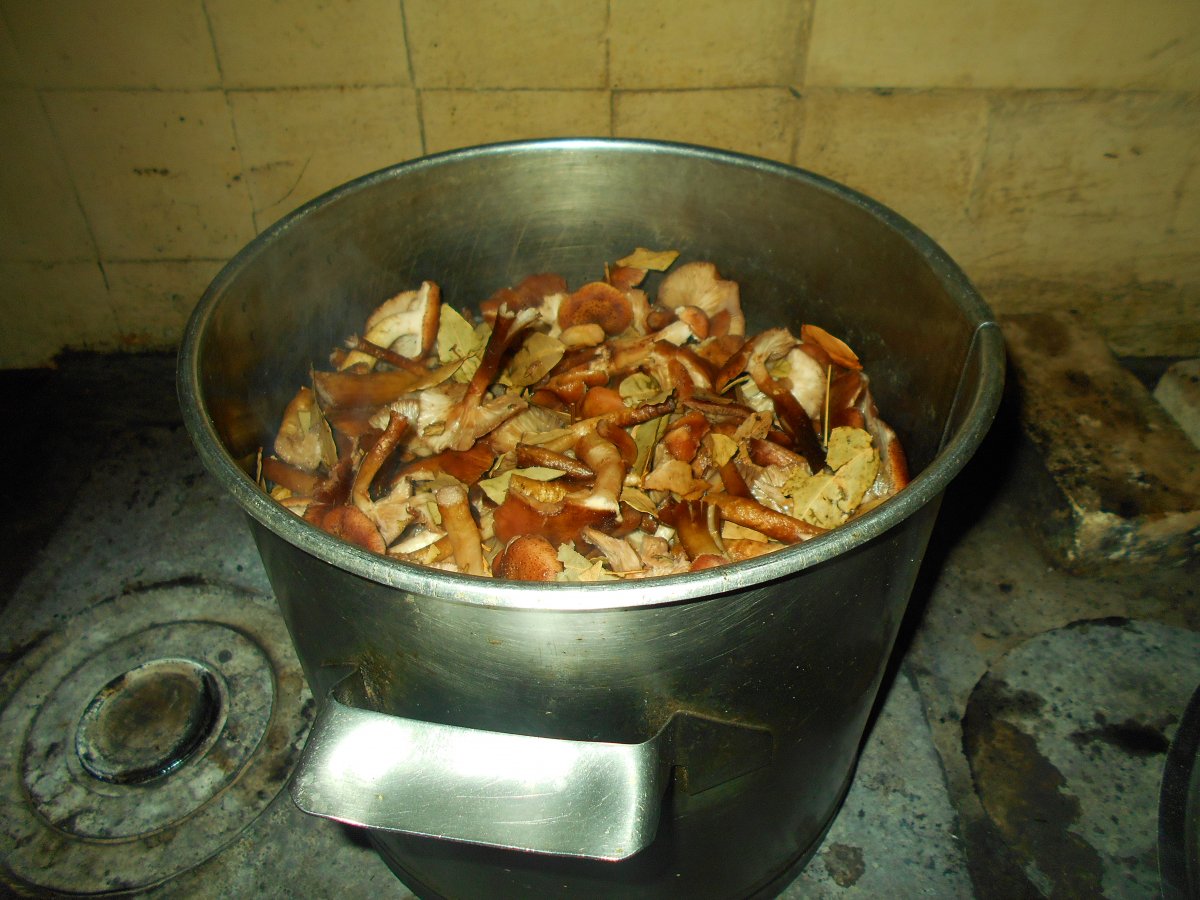 DSCN1873.JPG