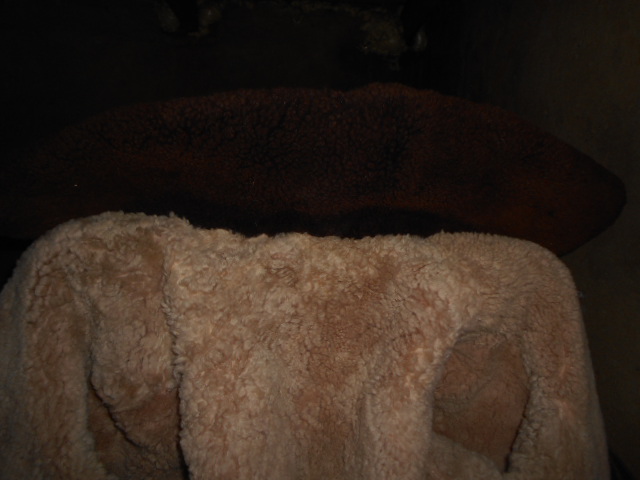 DSCN1881.JPG