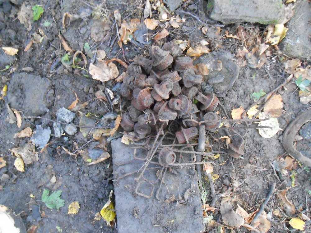 DSCN2050.JPG