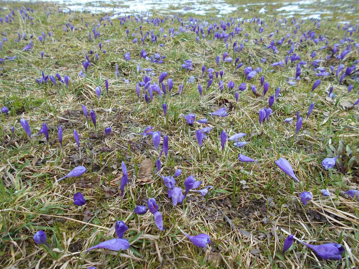 DSCN2058.JPG